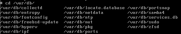 2019-02-23 22_54_37-FreeNAS - VMware Remote Console.png