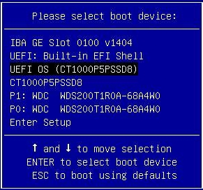 boot2.jpg