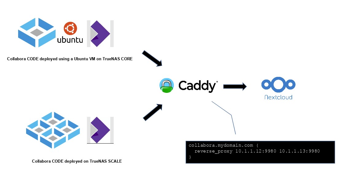 c12.jpg