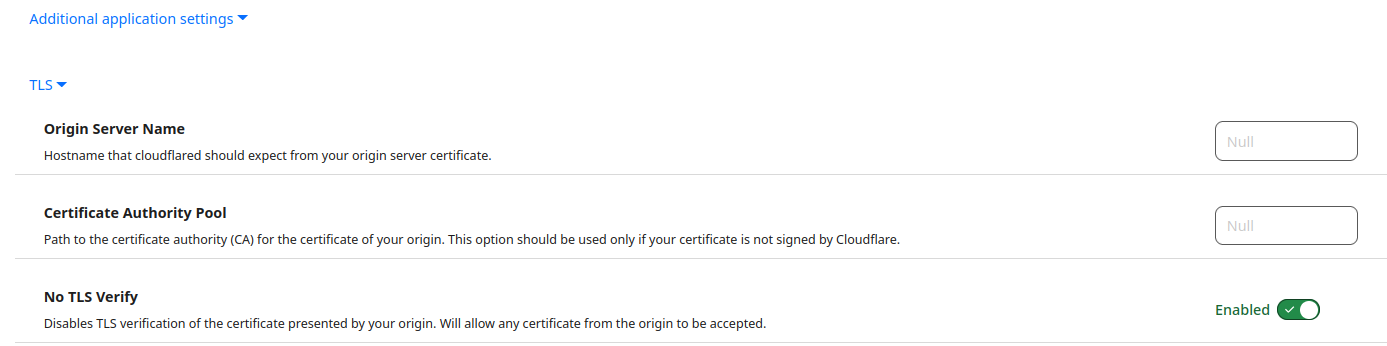 cloudflare_tunnel_tls.png