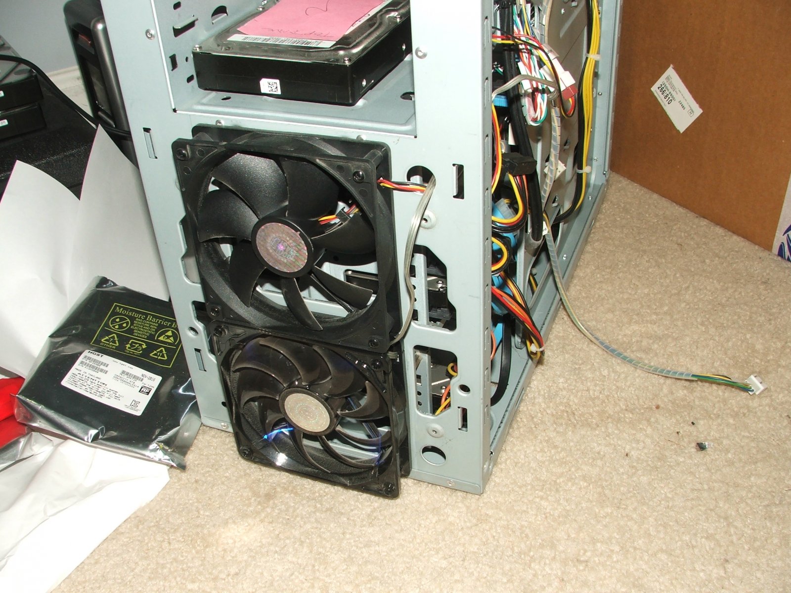DSCF6204.JPG