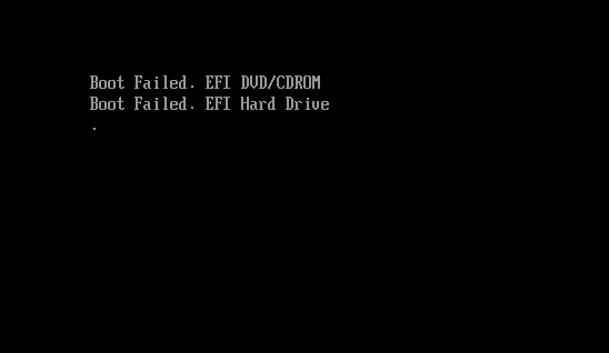efi.png