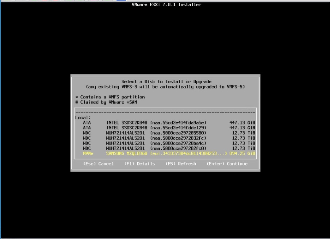 ESXi Disk.jpg