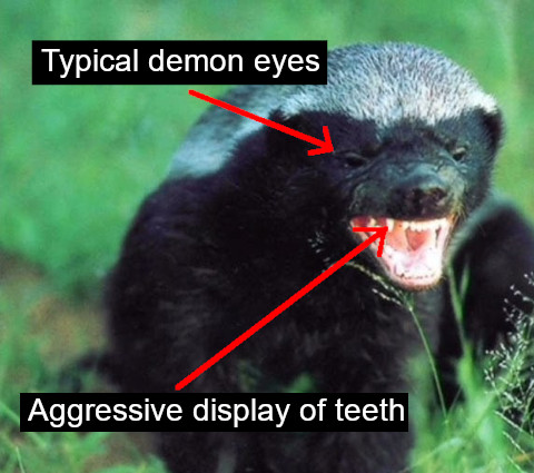 evil-badger.jpg