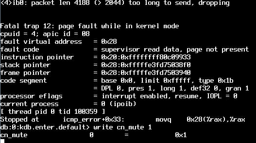 FreeBSD-kernel-trap_packetSizeProblem.png