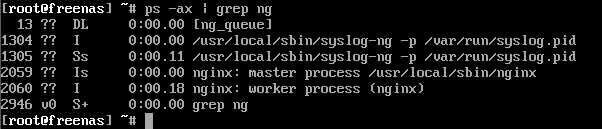 freenas#2.PNG