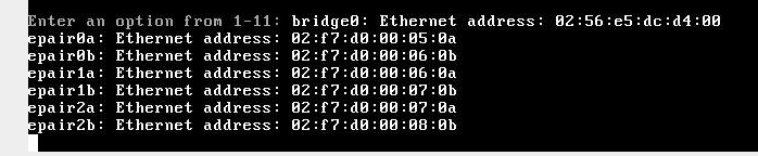 FreeNAS crash 2.png
