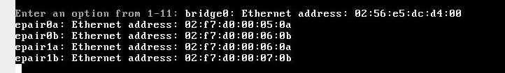 FreeNAS crash.png