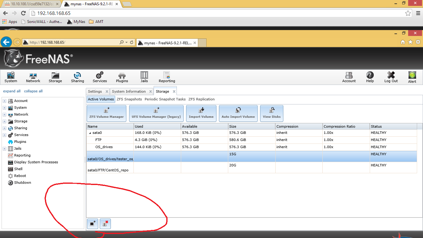 Freenas gui inside IE.png