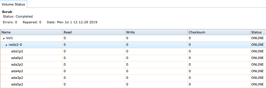 FreeNAS Volume Status.png