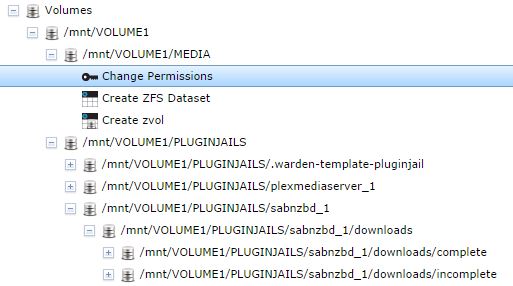 FreeNAS volumes.JPG