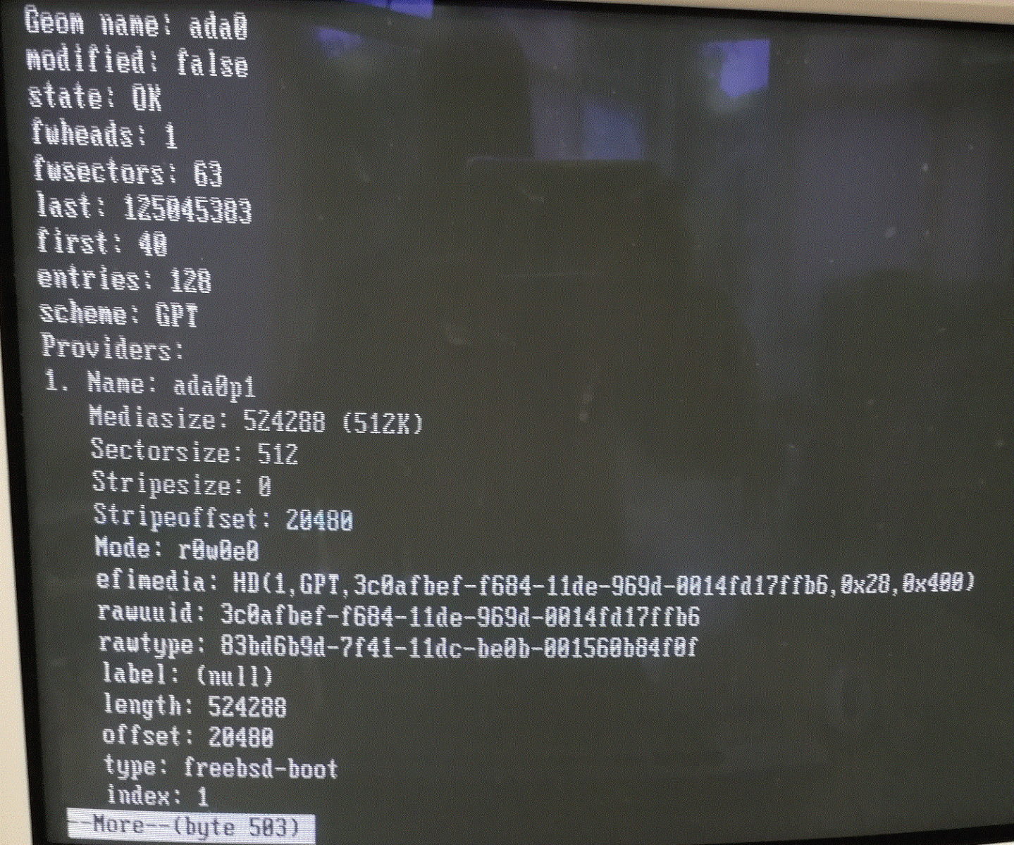 Gpart List for 64 GB SATA Drive - 1.gif
