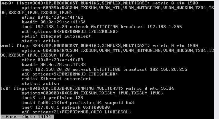 ifconfig1.png