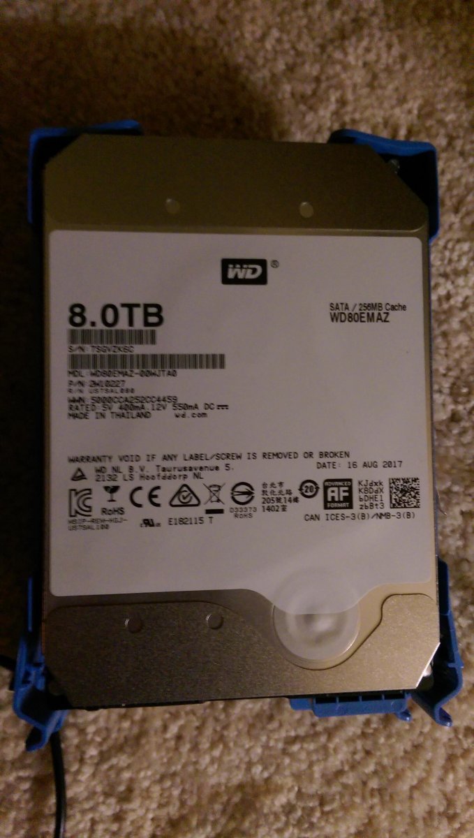 IMAG0272.jpg
