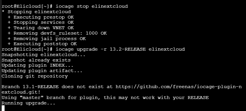 iocage 13.2-RELEASE upgrade.png