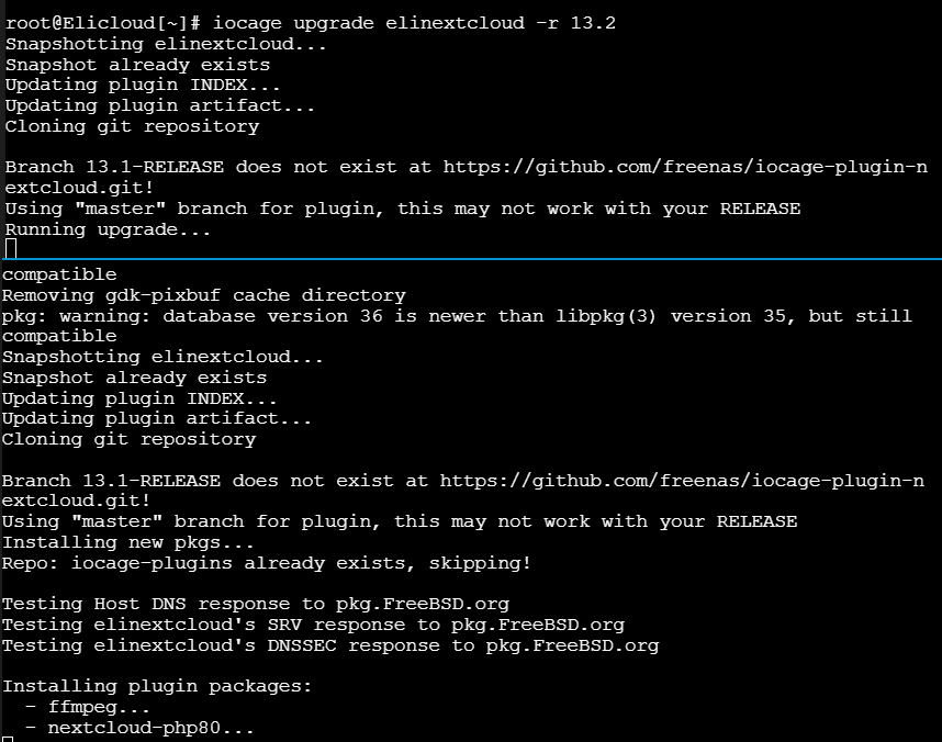 iocage 13.2 upgrade.png