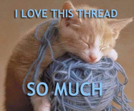 lolcat-i-love-this-thread-so-much.jpg