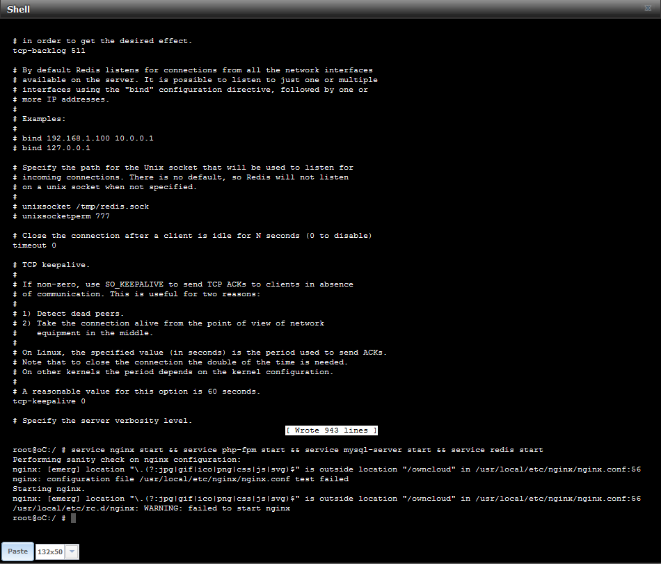 NGINX FAILS TO START.PNG