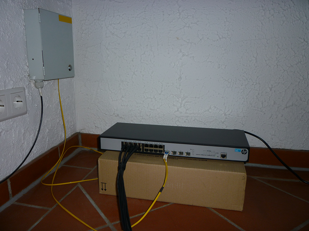 P1030881.png