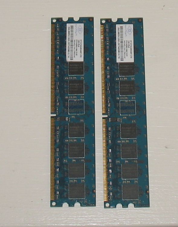 RAM.jpg
