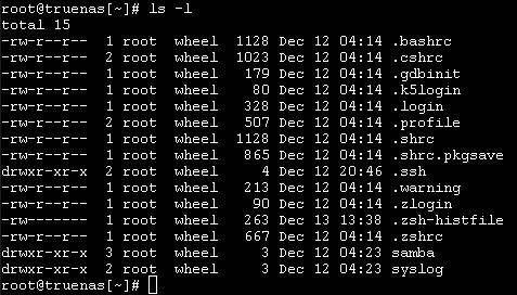 root@truenas.png