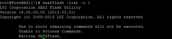 sasflash1.JPG