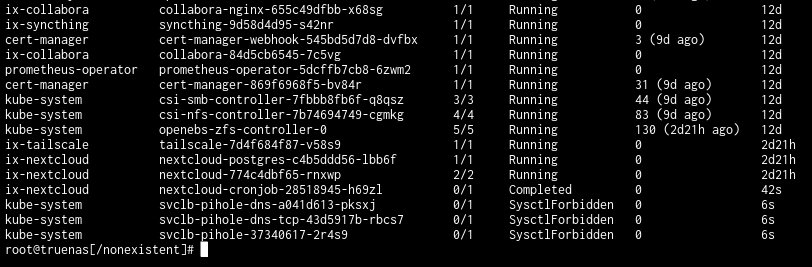 shell capture.jpg