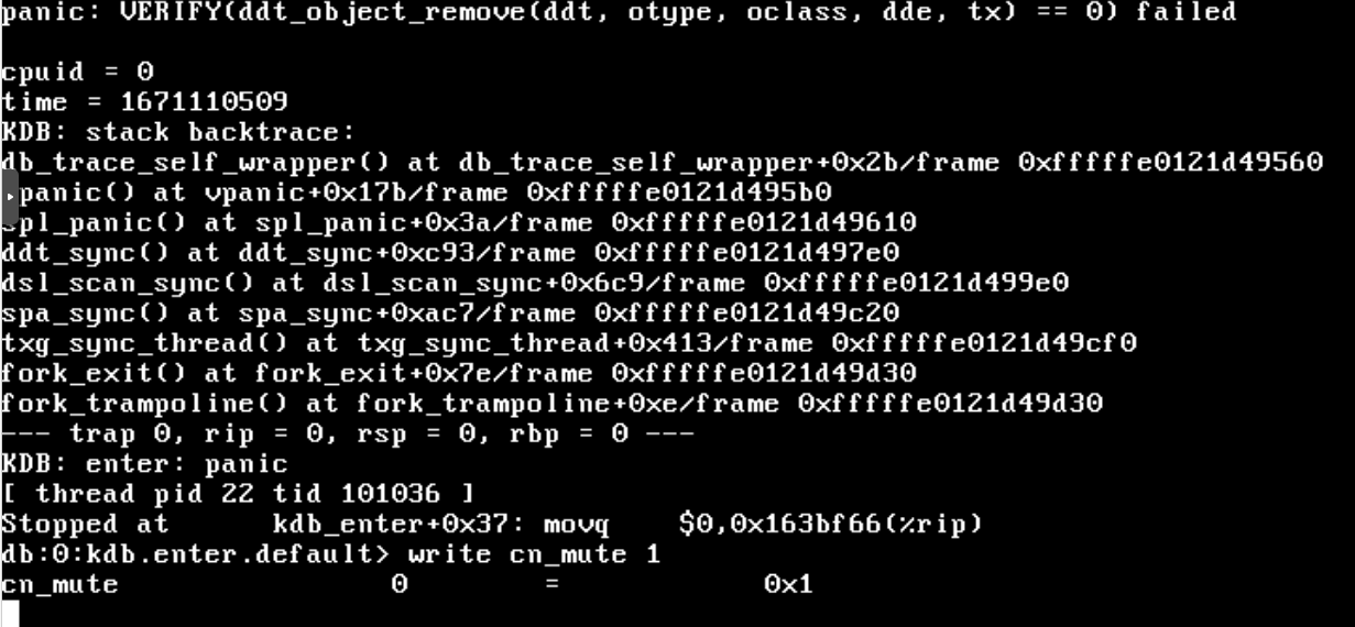 TrueNas-panic.png