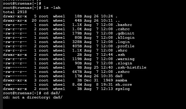 TrueNas Shell Screen Capture 2.JPG