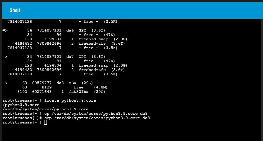 TrueNas Shell Screen Capture.JPG