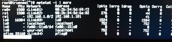 trueNAS_netstat-i.jpg