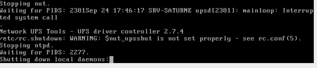 UPS freenas.JPG