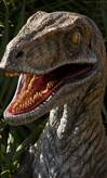 vraptor.png