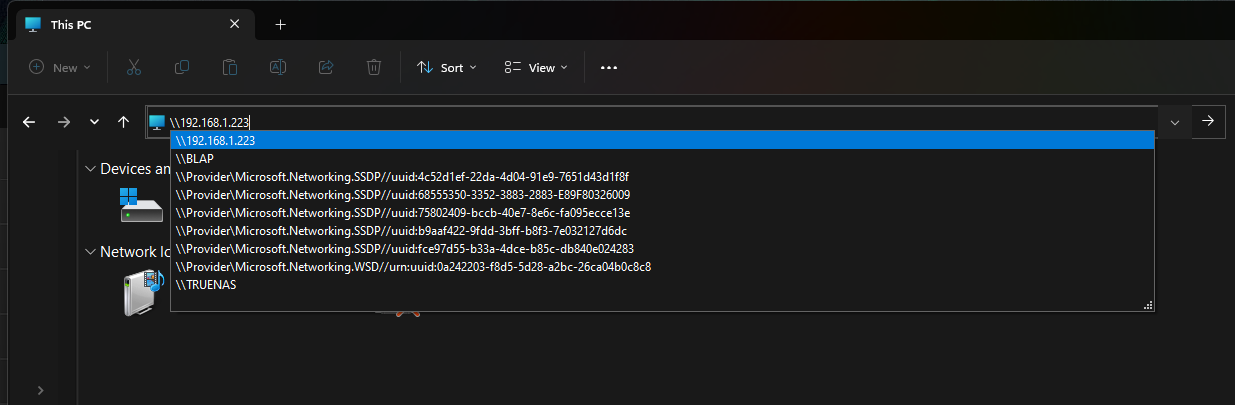 windows_explorer_type_ip.png
