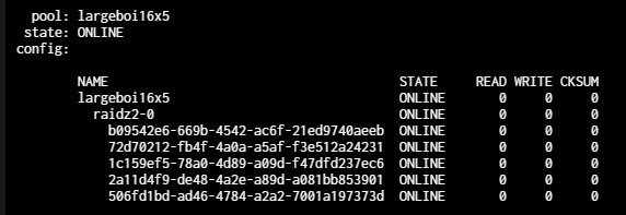 zpoolstatus.png