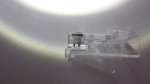 cat61.JPG