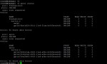 ZFS 3 Way mirror.jpg