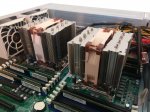 Noctua1.jpg Noctua1.jpg