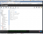 freenas1.png