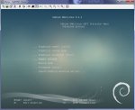 debian_netinstall_expert_install.jpg