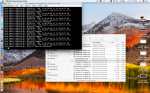 Screen Shot 2018-06-01 at 7.51.49 PM.png
