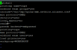 syno_smb.conf.png