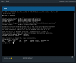 freenas_jailshell.png freenas_jailshell.png