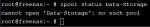 zpoolstatusStorage1.PNG