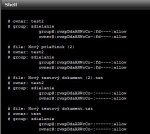 data_in_dataset_getfacl.JPG