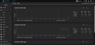 Reporting network igb0 igb1.jpg