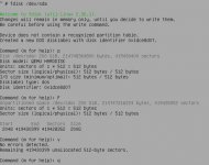 d1-fdisk.jpg