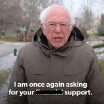 bernie-support.jpg