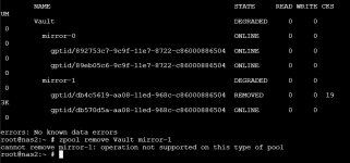 zpool-remove.png