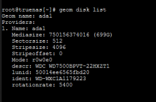 truenas hard drive ada1.png